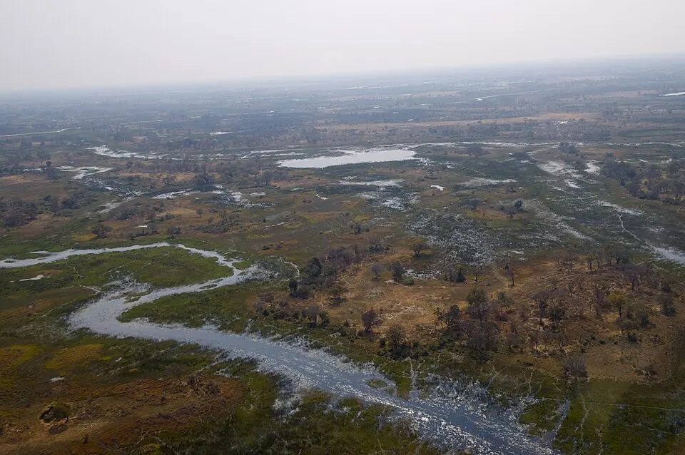 Okavango Delta.jpg